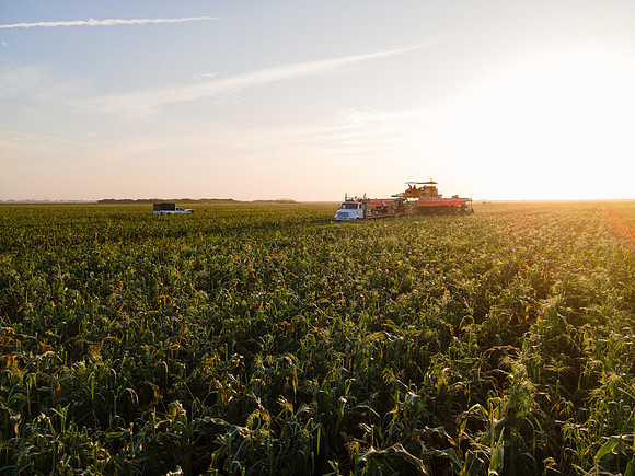 Seminis2022_FL_JEM_1194
