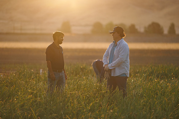 Seminis2022_Idaho_962