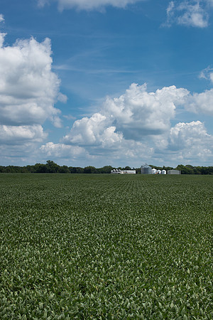 DavidNiekamp_299