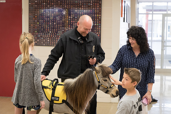 AmericasFarmers_HeartlandMiniHorses_608