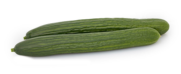 Cucumber_1353_4
