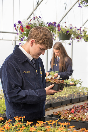 AmericasFarmers_BallardCountyHS_0339