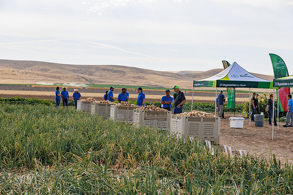 Seminis2022_Idaho_2310
