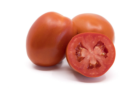 Tomato_N6480_10