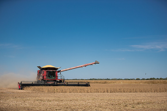 NL_Soybean_Harvest_2019_c_8