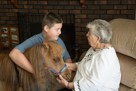 AmericasFarmers_HeartlandMiniHorses_303