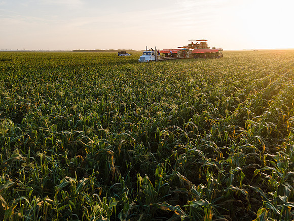 Seminis2022_FL_JEM_1191