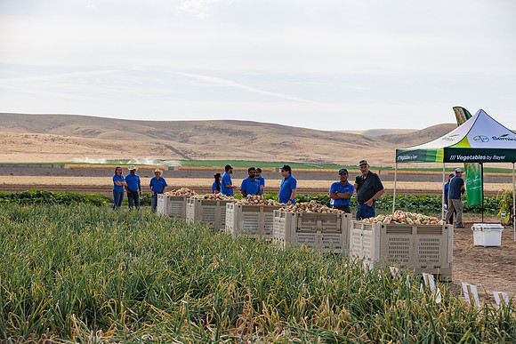 Seminis2022_Idaho_2306