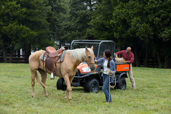 Kubota_RTVX900_CDP2015_0206