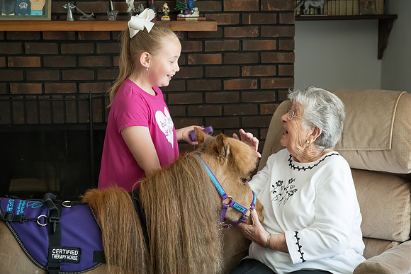 AmericasFarmers_HeartlandMiniHorses_281