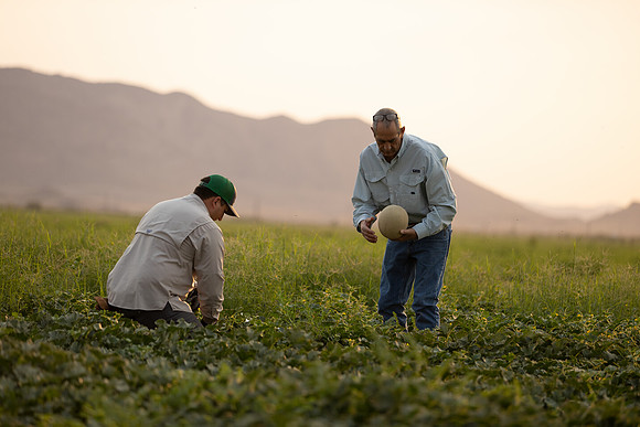 Seminis2021_AZ_1319