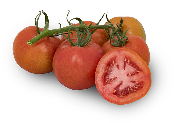 Tomato_DRTC1053_193
