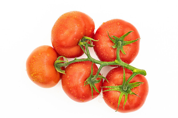 Tomatoes_DRTH1053_52