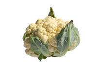Cauliflower_Freedom_CA_0016
