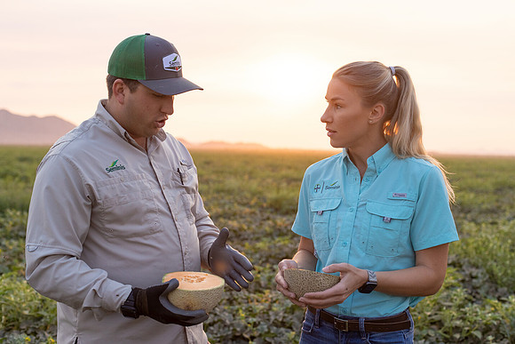 Seminis2021_AZ_335