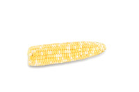 SweetCorn_SVSA0313_18