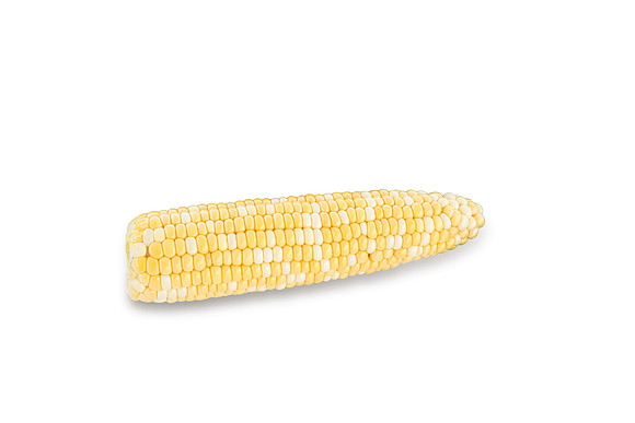 SweetCorn_SVSA0313_18