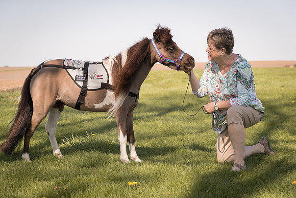 AmericasFarmers_HeartlandMiniHorses_683