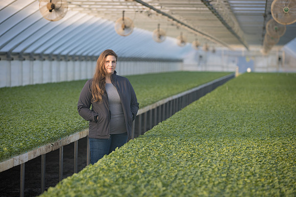Seminis2022_FowlerPlant_4921