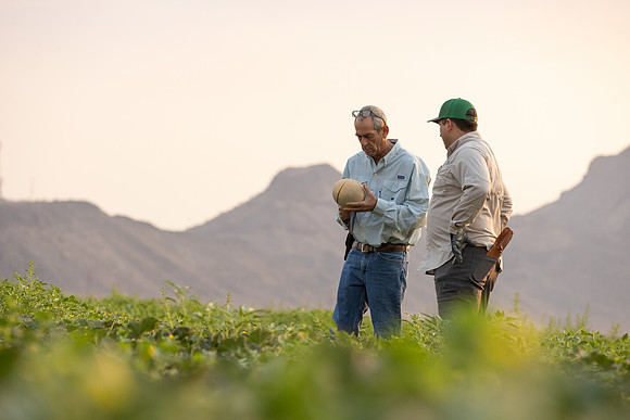 Seminis2021_AZ_1177