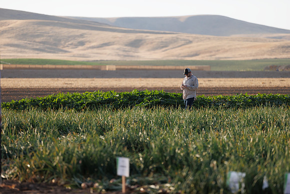 Seminis2022_Idaho_1578