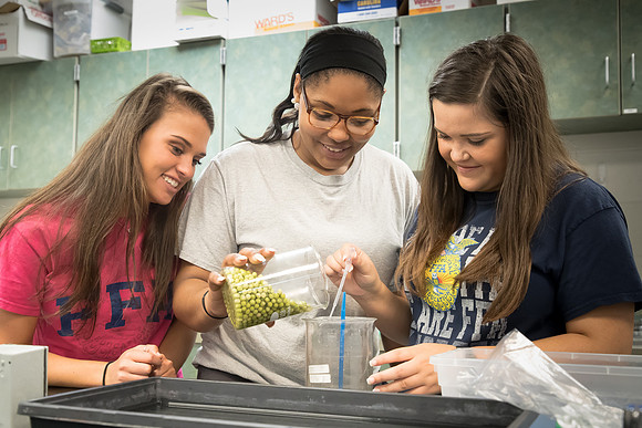AmericasFarmers_BallardCountyHS_2808
