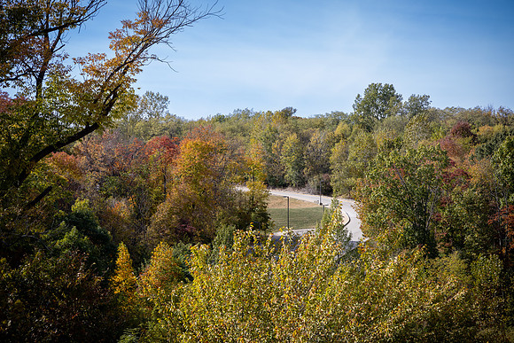 BCS_NA_StL_5793