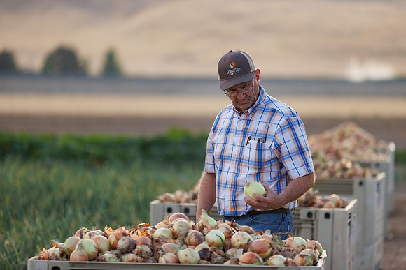 Seminis2022_Idaho_1759