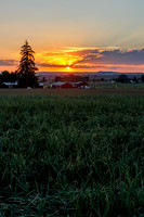 Seminis2022_Idaho_47-HDR
