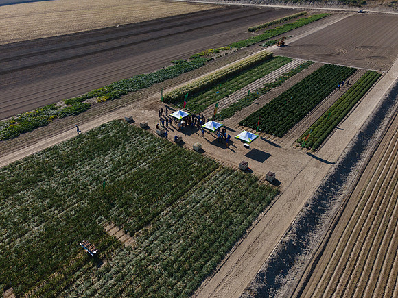 Seminis2022_Idaho_2377