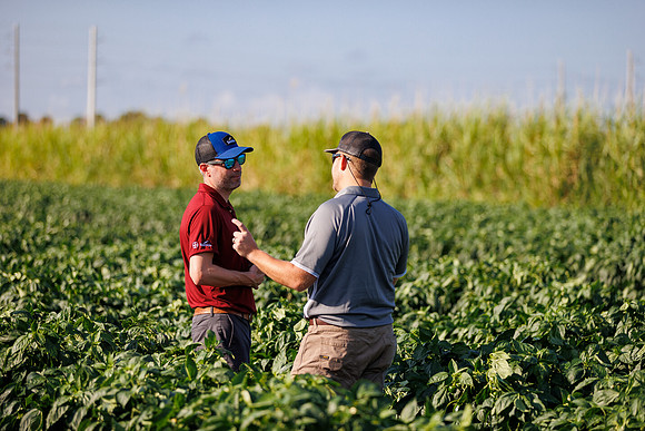 Seminis2022_FL_Bedner_96