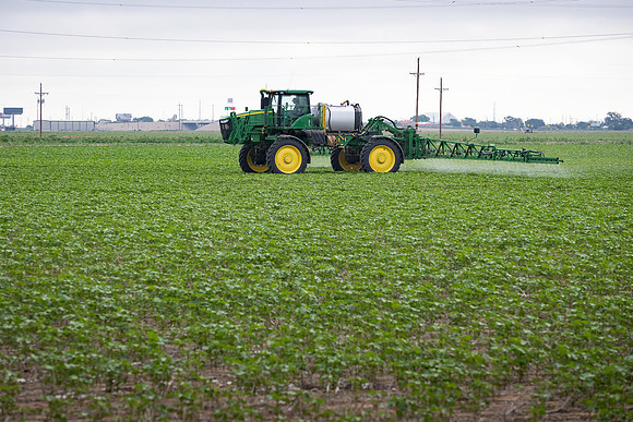 RRXCottonTexas_cdp_4957