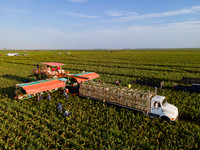 JEM Farms