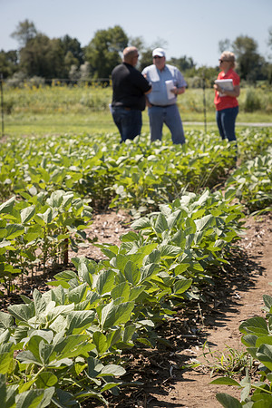 NL_Soybeans_072319_Carbondale_22