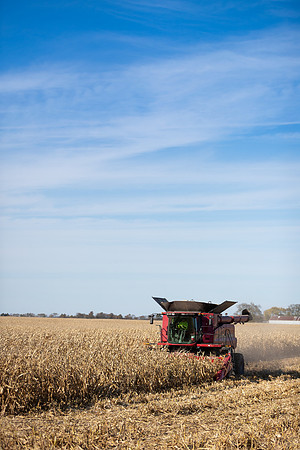 NL_Corn_Harvest_2019_c_46