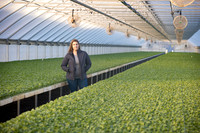 Seminis2022_FowlerPlant_4881