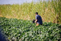 Seminis2022_Bedner_333