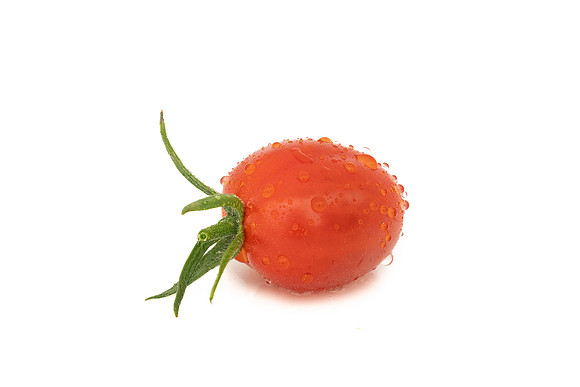 Tomatoes_DRTH8089_41
