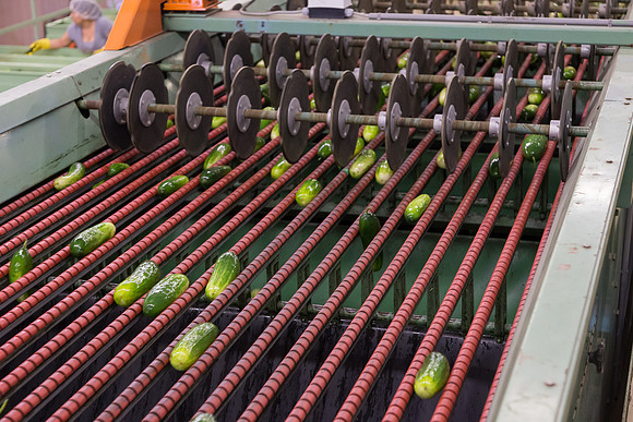 PicklingCucumber_Vlaspik_Processing_MI_0271
