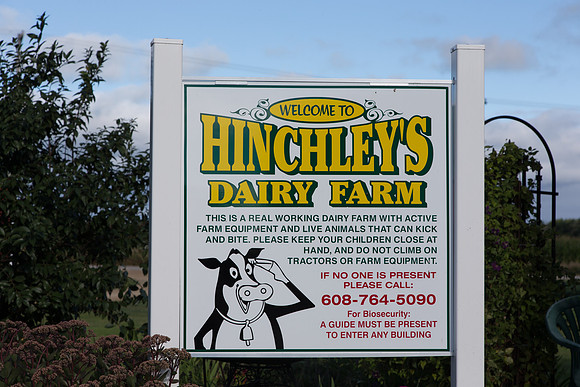 TinaHinchley_003