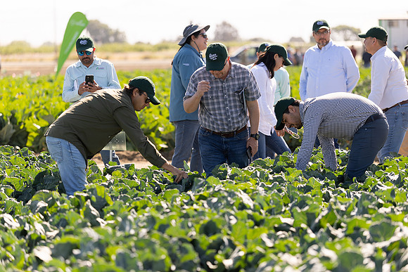 Seminis_SJB_FieldDay2025_1367