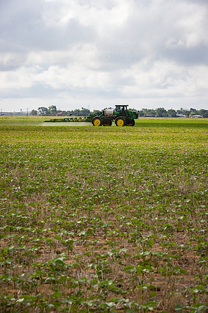 RRXCottonTexas_cdp_5318