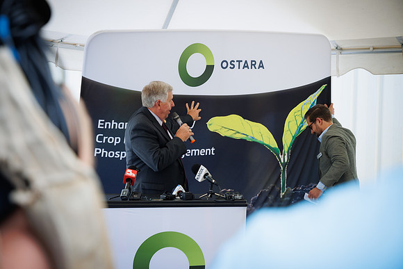Ostara_cdp_725