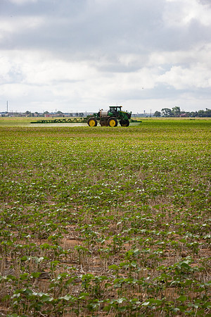 RRXCottonTexas_cdp_5312