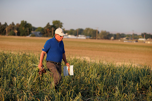 Seminis2022_Idaho_1376