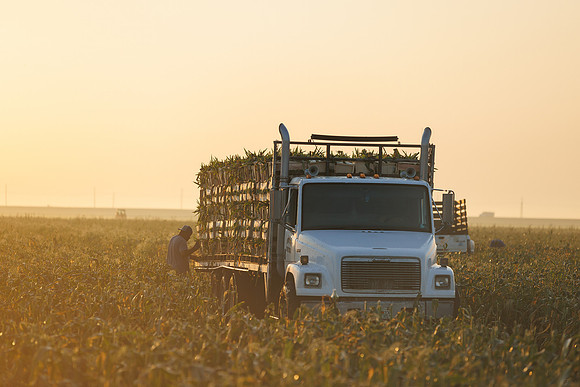 Seminis2022_FL_JEM_8