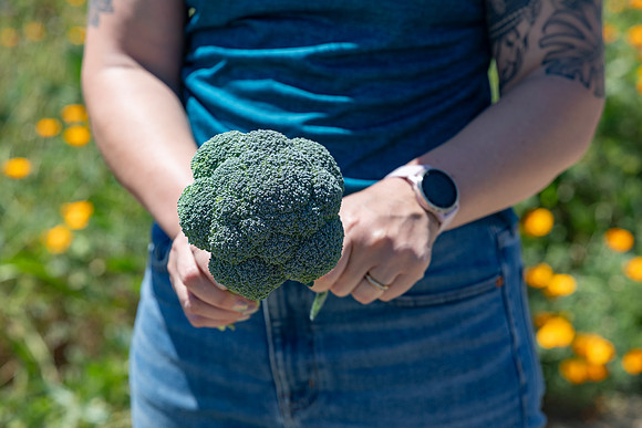 Skymark_Broccoli_108