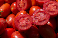 Tomato_SV2493TM_CA_00019