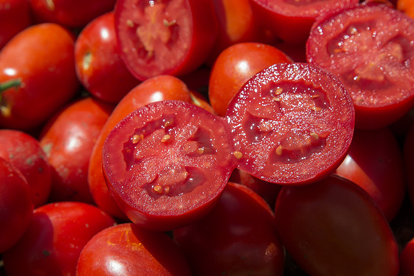 Tomato_SV2493TM_CA_00019