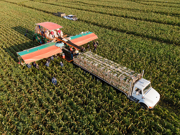 Seminis2022_FL_JEM_1208